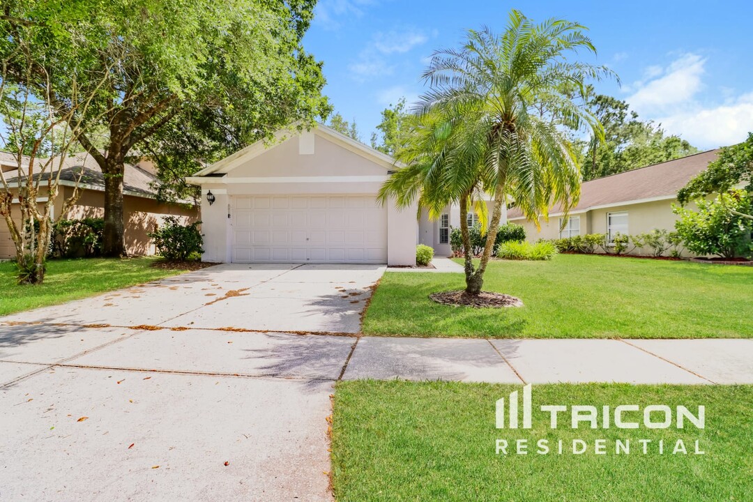 4859 Orange Grove Way in Palm Harbor, FL - Building Photo