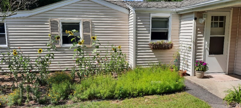 86 Forest St in Dighton, MA - Building Photo