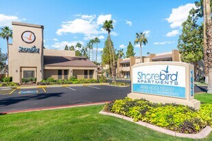 Shorebird in Mesa, AZ - Building Photo