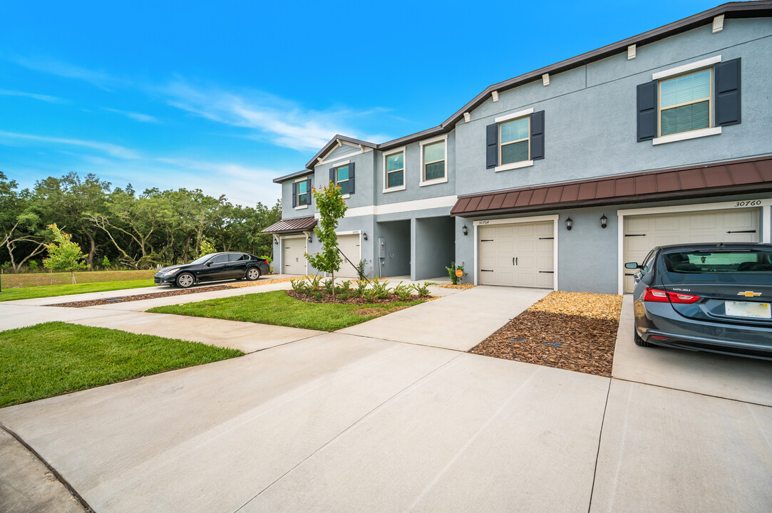 30764 Veridian Wy in Wesley Chapel, FL - Building Photo