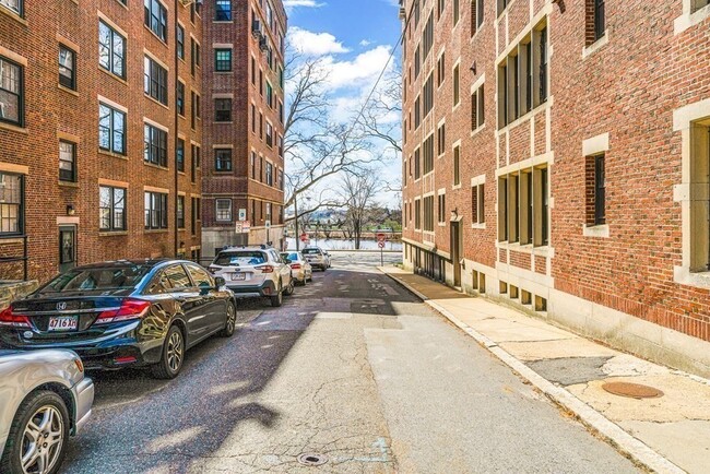 36 Ash St, Unit 401 in Cambridge, MA - Building Photo - Building Photo