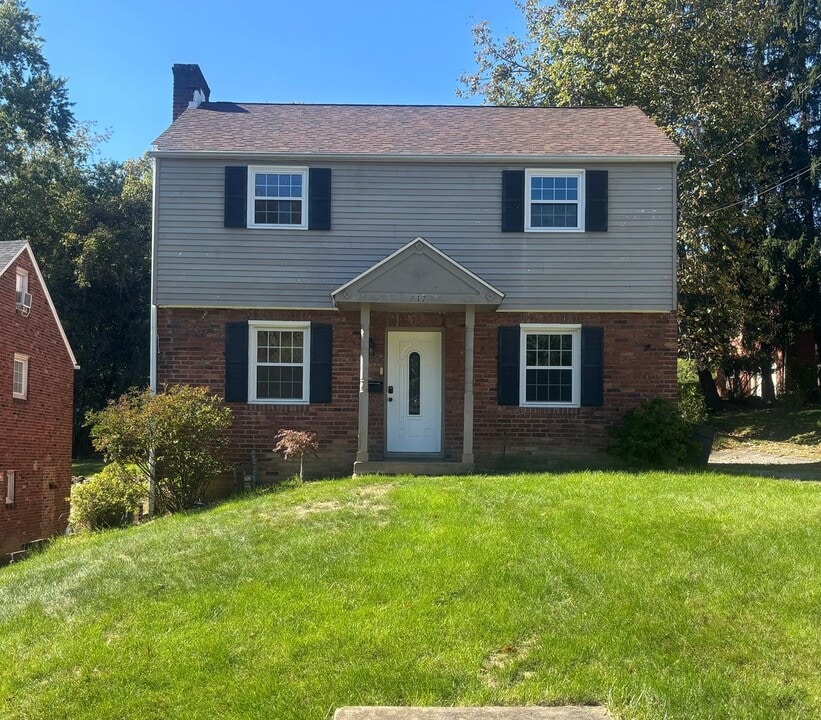 217 Stevens Dr in Pittsburgh, PA - Building Photo
