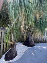 2620 NE 19th St in Pompano Beach, FL - Building Photo