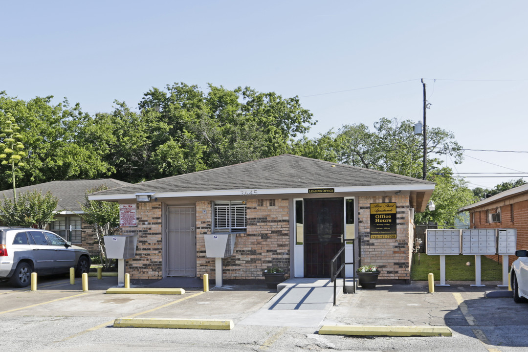 Alice Street Apartments in Houston, TX - Building Photo