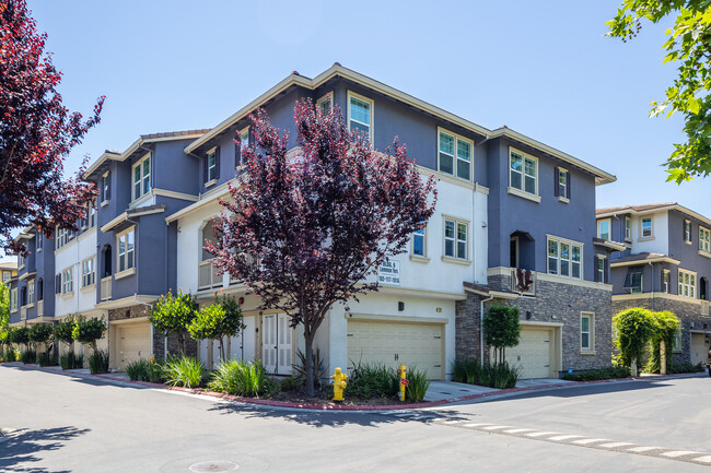 106 - 134 Lemmon Ter in Sunnyvale, CA - Foto de edificio - Building Photo