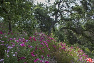 1300 Greenleaf Canyon Rd in Topanga, CA - Building Photo - Building Photo