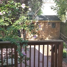 4207 7th St NW, Unit UPPER LEVEL in Washington, DC - Building Photo - Building Photo