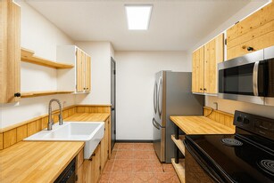 23431 Prairie Bird Dr in Spring, TX - Building Photo