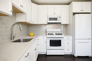 434 Clinton Pl in River Forest, IL - Building Photo