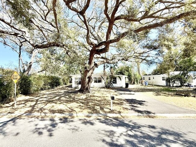 7111 Onyx Dr N in St. Petersburg, FL - Building Photo - Building Photo