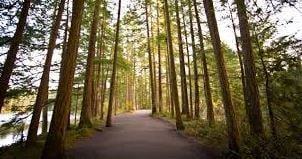 Pinewood Terrace in Vancouver, WA - Building Photo - Building Photo