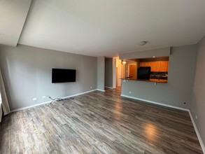 211 E Ohio St in Chicago, IL - Building Photo - Building Photo
