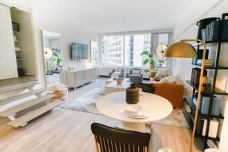 29 E Chestnut St in Chicago, IL - Foto de edificio - Building Photo