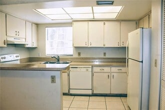 14442 Reuter Strasse Cir in Tampa, FL - Building Photo - Building Photo