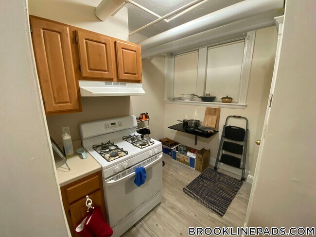 20 Alton Pl in Brookline, MA - Building Photo - Building Photo