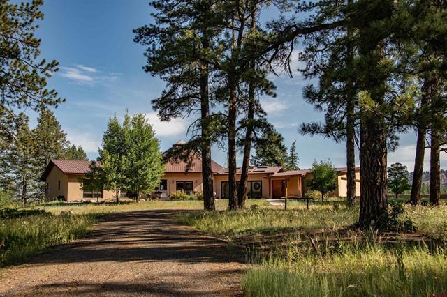 121 County Road 326 in Pagosa Springs, CO - Building Photo