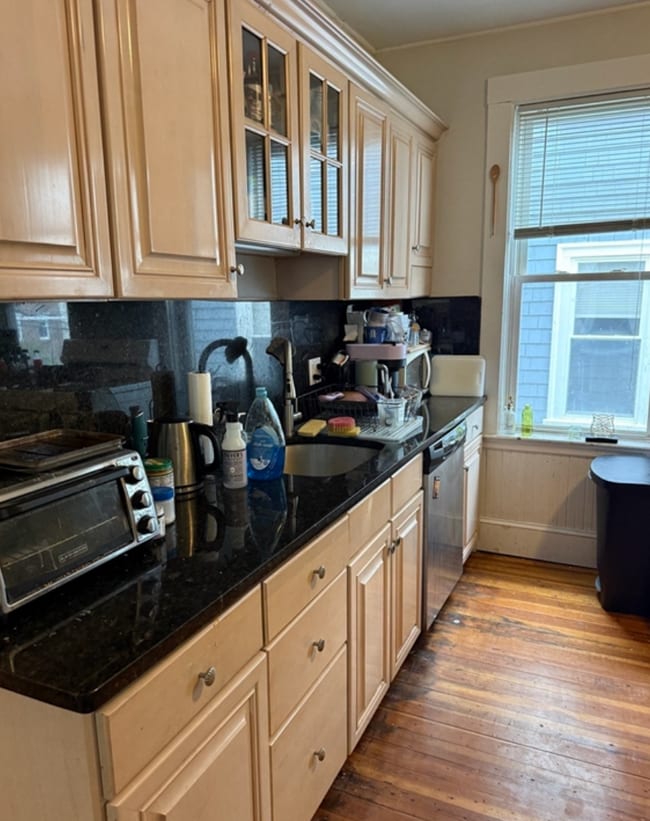 115 Browne St, Unit 115 Browne Street in Brookline, MA - Building Photo - Building Photo