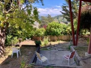 257 Greene St in Mill Valley, CA - Building Photo - Building Photo