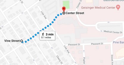 1111 Vine St in Danville, PA - Foto de edificio - Building Photo