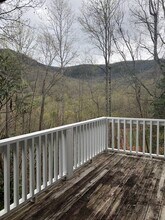 307 Chapman Rd in Montreat, NC - Building Photo - Building Photo