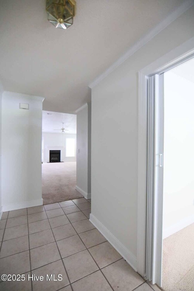 173 Emily Dr in Winterville, NC - Building Photo - Building Photo