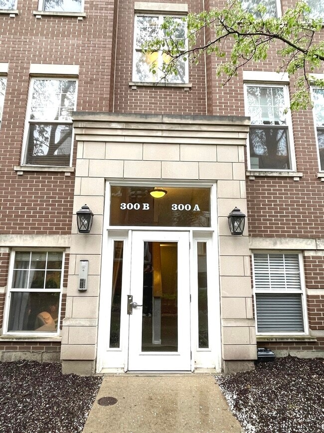 300 W Scott St in Chicago, IL - Building Photo - Building Photo