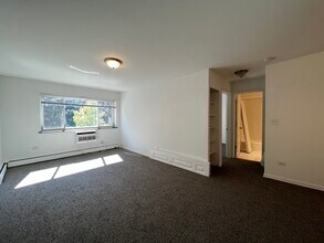 736 W Buena Ave in Chicago, IL - Building Photo - Building Photo