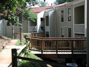 Ash Tree Townhomes in Charlottesville, VA - Building Photo