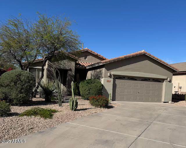 property at 9848 N Desert Rose Dr