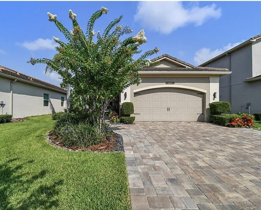 2837 Tarragona Way in Wesley Chapel, FL - Building Photo