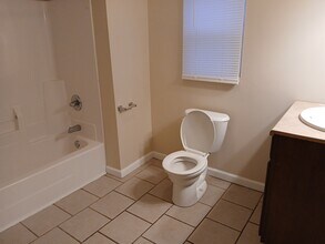 709 S Poplar St in Carbondale, IL - Foto de edificio - Building Photo