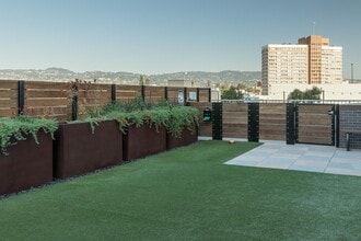 Alexan Webster in Oakland, CA - Foto de edificio - Building Photo