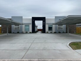 2511 N Vineyard Ave in Edinburg, TX - Building Photo