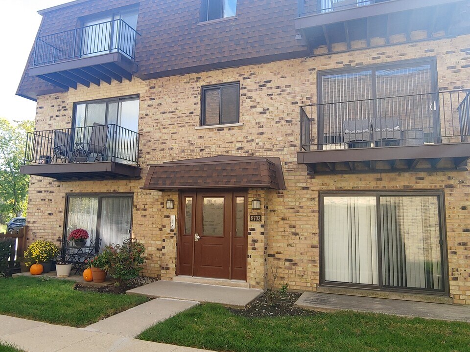 9703 Bianco Terrace in Des Plaines, IL - Building Photo