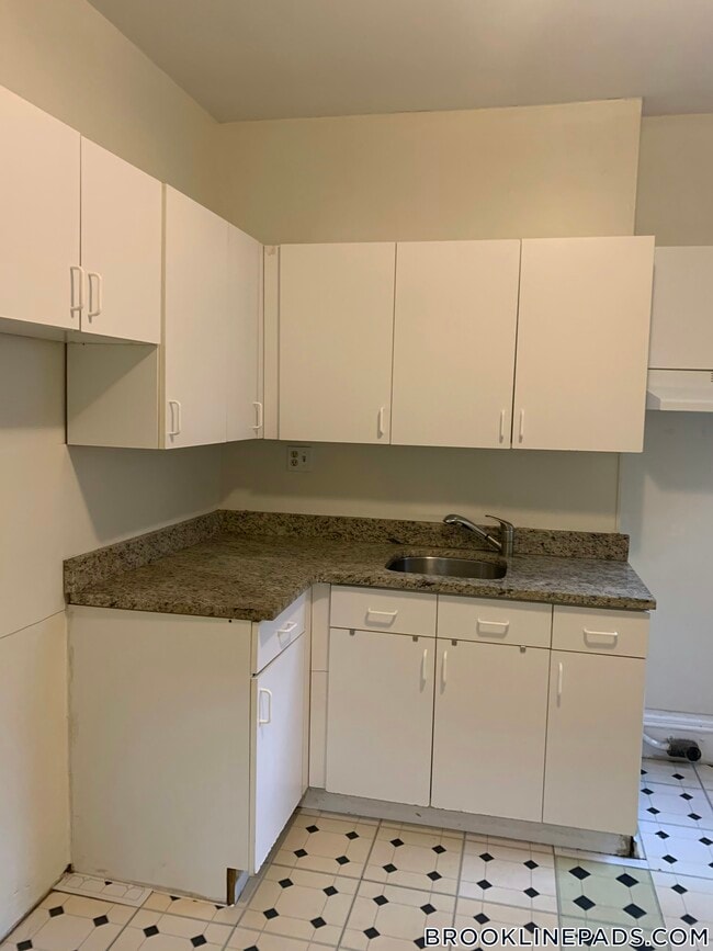 208 Winthrop Rd in Brookline, MA - Foto de edificio - Building Photo