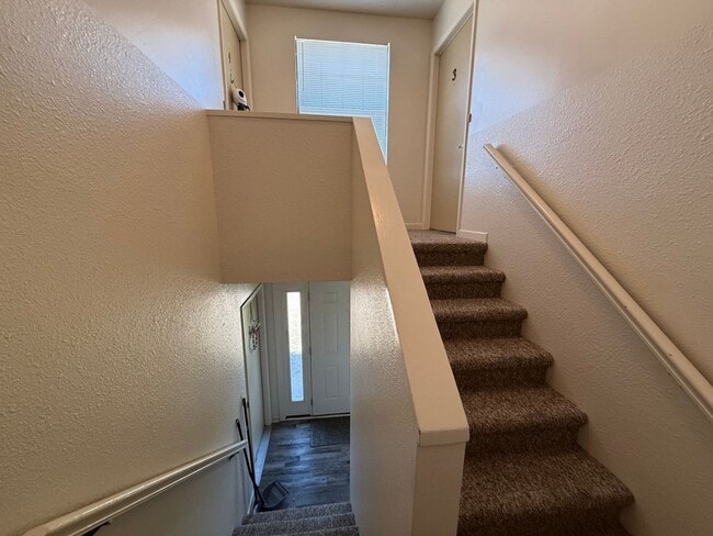 4812 Cannon Ridge Dr in Knoxville, TN - Building Photo - Building Photo