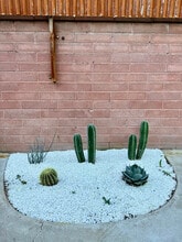 5564 E Camden St in Tucson, AZ - Foto de edificio - Building Photo