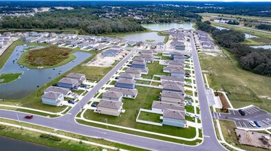 35606 Buttonweed Trl in Zephyrhills, FL - Building Photo - Building Photo
