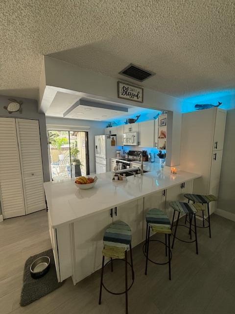 131 Manchineel Ct in Royal Palm Beach, FL - Building Photo - Building Photo