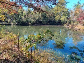 1245 Bee Tree Rd in Swannanoa, NC - Building Photo - Building Photo