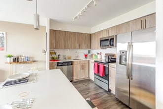 929 S Ashland Ave in Chicago, IL - Building Photo - Building Photo