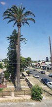 4530 Normandie Ave in Los Angeles, CA - Building Photo - Building Photo