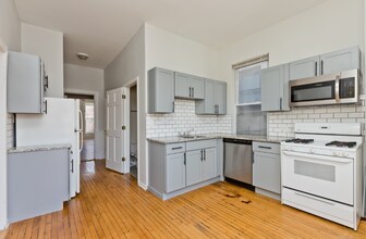 858 N Paulina St, Unit 1 in Chicago, IL - Building Photo - Building Photo