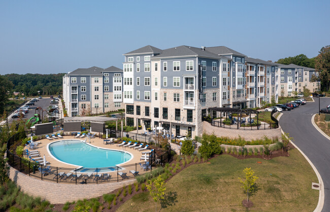 The Wexley at 100
