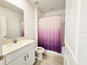 22083 Nebula Wy in Land O Lakes, FL - Building Photo - Building Photo