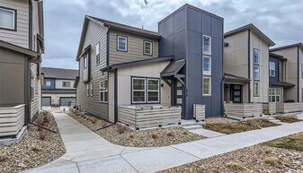 1818 Rose Quartz Heights in Colorado Springs, CO - Building Photo