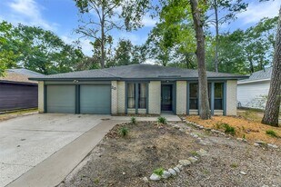 20 Tulip Hill Ct in Spring, TX - Building Photo