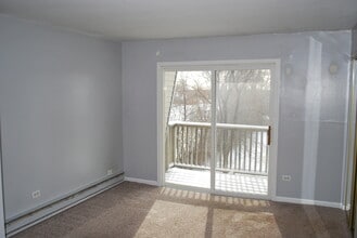 4309 W Park Ln Dr in Alsip, IL - Building Photo - Building Photo