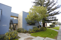 Seagull Apartments in Bakersfield, CA - Foto de edificio - Building Photo