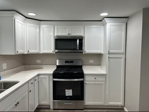 1039 David Dr, Unit 1E in Bensenville, IL - Building Photo - Building Photo